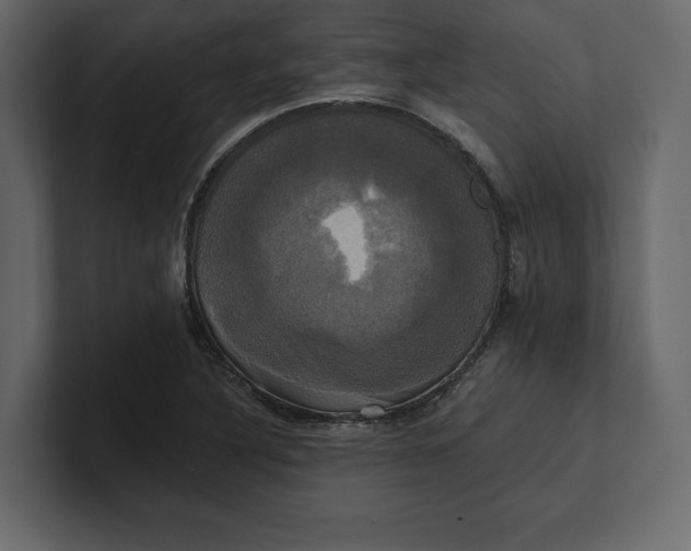 X0000100921316200807151213