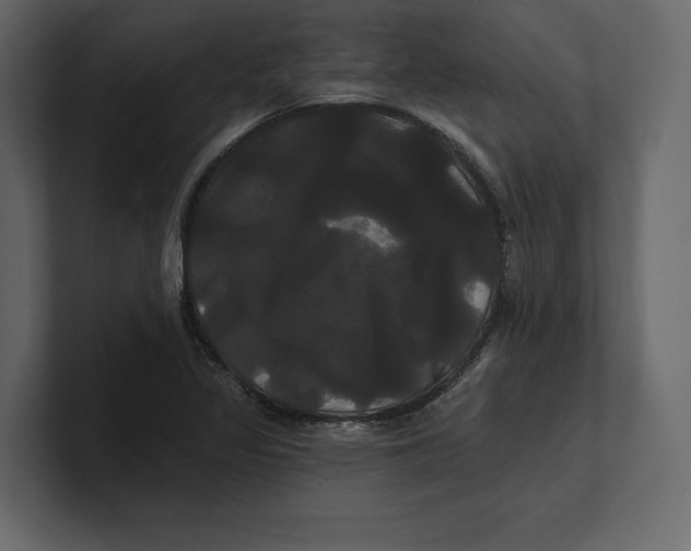 X0000100921317200807151213