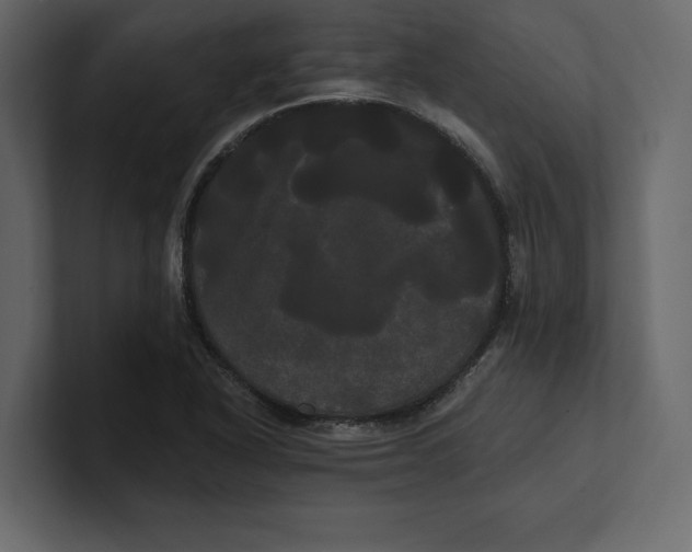 X0000100921318200807151213