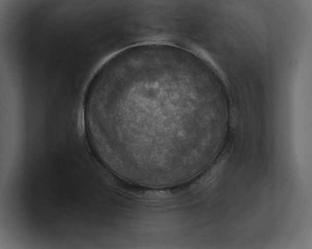 X0000100921320200807151213