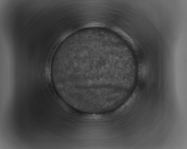 X0000100921321200807151213