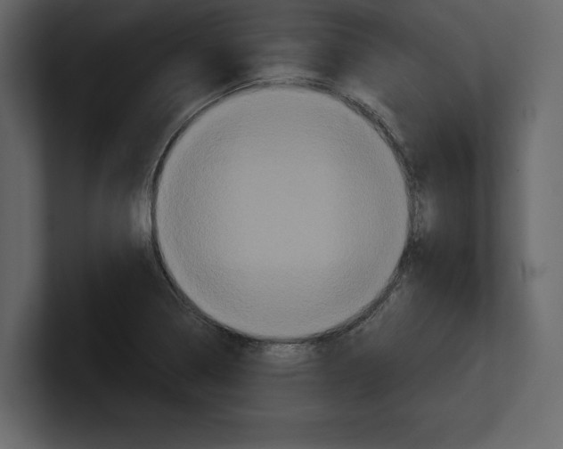 X0000100921322200807151213