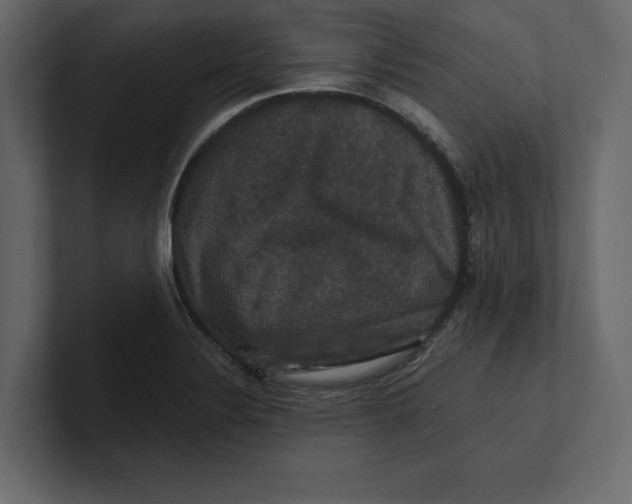 X0000100921324200807151213