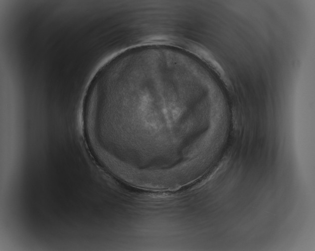 X0000100921328200807151213