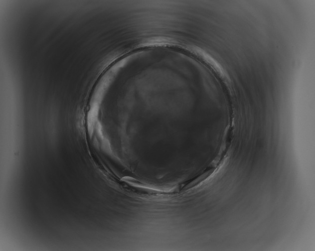 X0000100921329200807151213