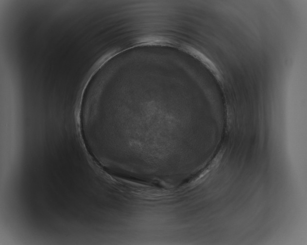 X0000100921330200807151213