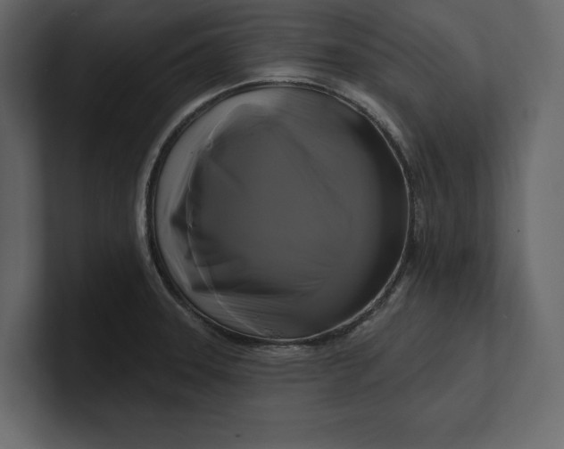 X0000100921331200807151213