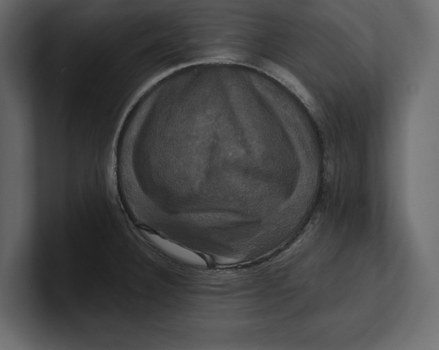 X0000100921332200807151213