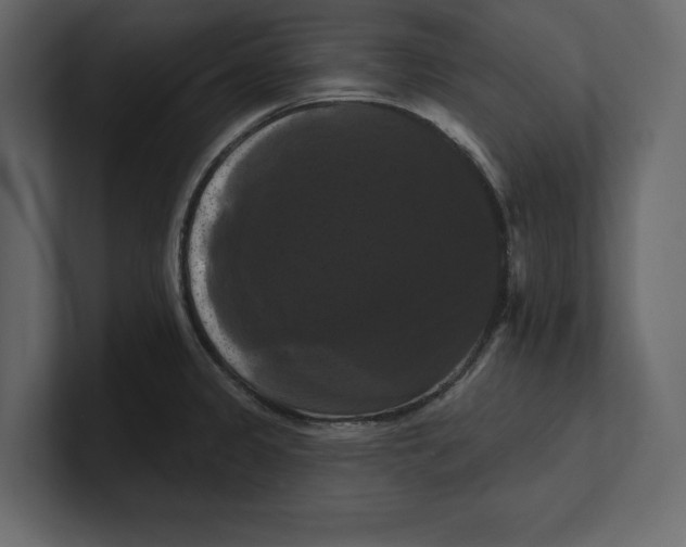 X0000100921333200807151213