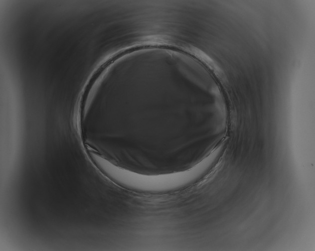 X0000100921334200807151213