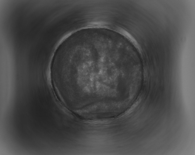 X0000100921336200807151214