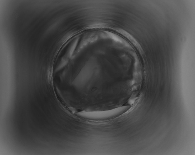 X0000100921337200807151214