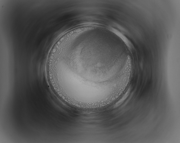 X0000100921338200807151214