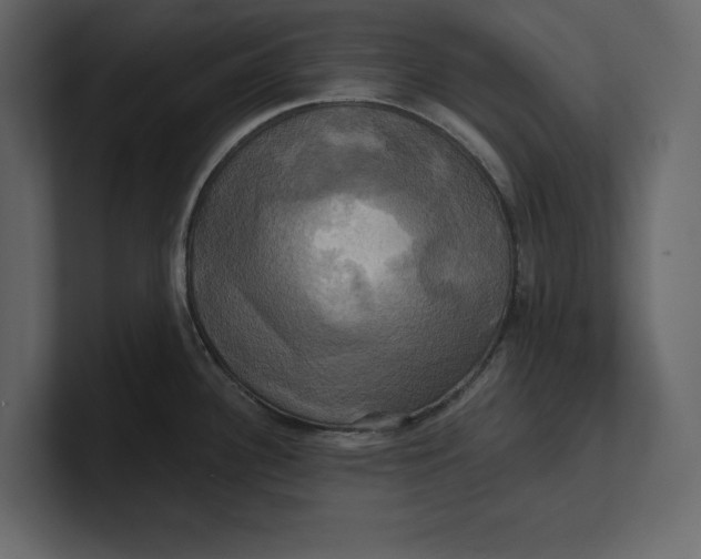 X0000100921340200807151214