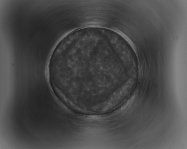 X0000100921341200807151214