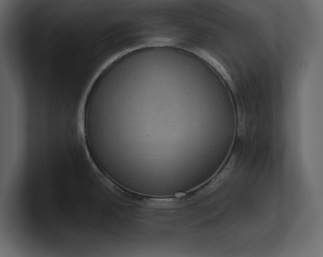 X0000100921342200807151214