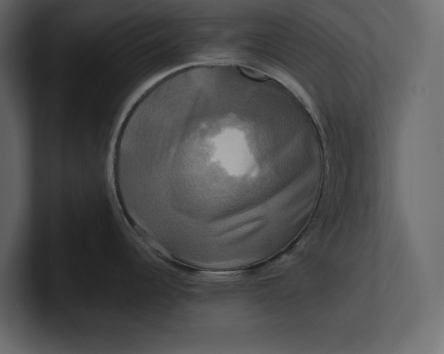 X0000100921344200807151214