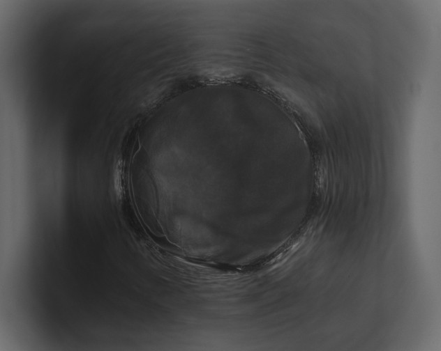 X0000100921346200807151213