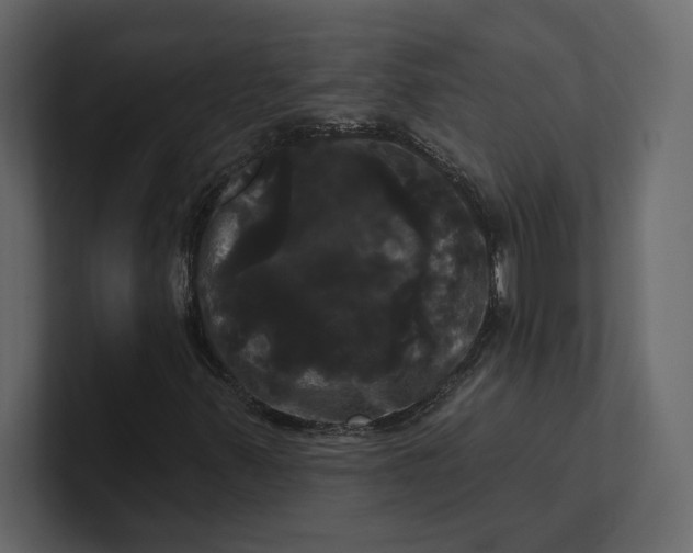 X0000100921347200807151213