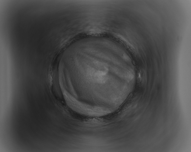 X0000100921348200807151213