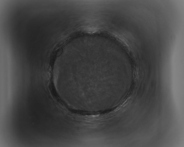 X0000100921349200807151213