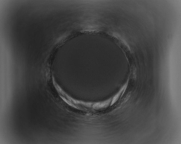 X0000100921350200807151213