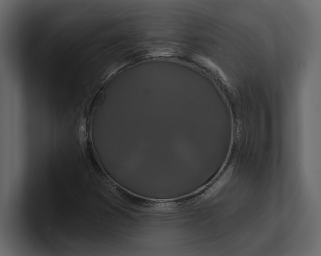 X0000100921353200807151213