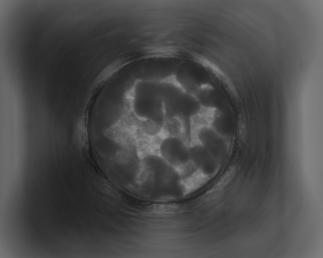 X0000100921354200807151213