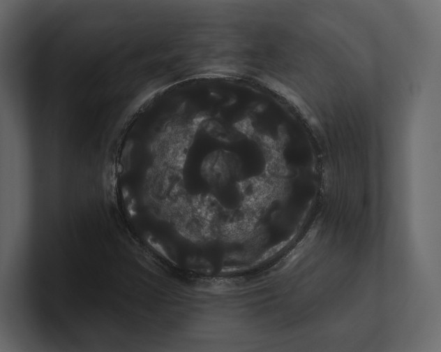 X0000100921355200807151213