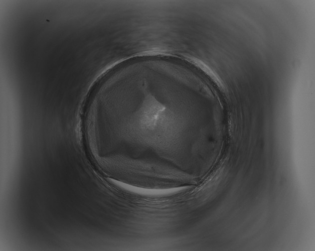 X0000100921356200807151213