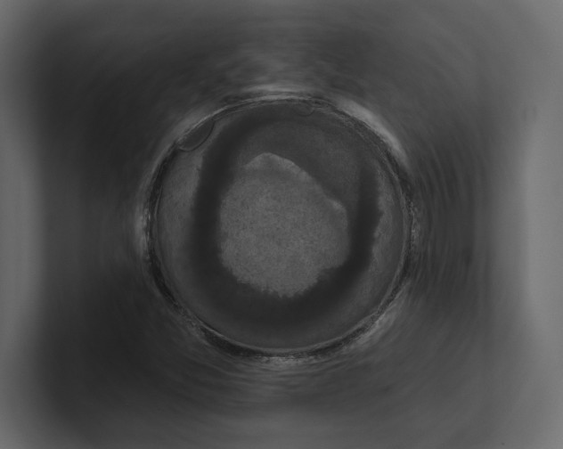 X0000100921357200807151213