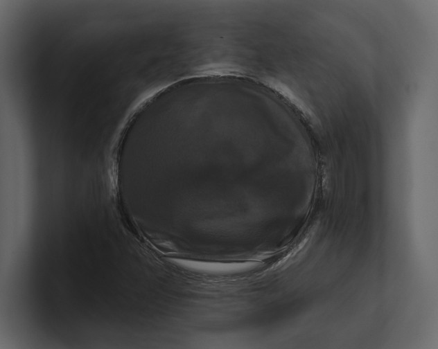 X0000100921358200807151213