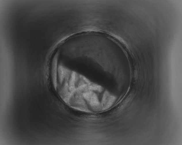 X0000100921359200807151213