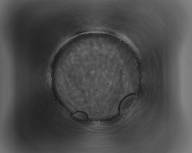 X0000100921360200807151213