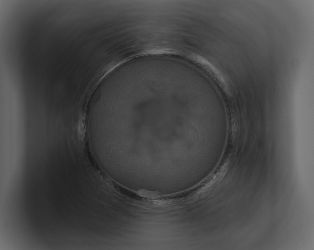 X0000100921361200807151213