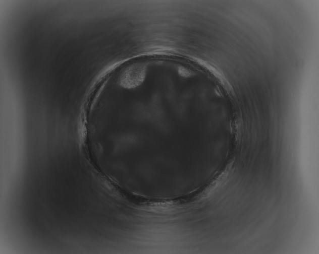 X0000100921363200807151213