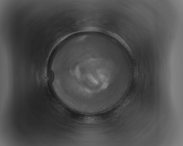 X0000100921364200807151213