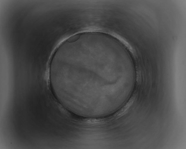 X0000100921366200807151213