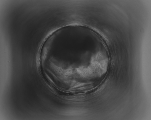 X0000100921367200807151213