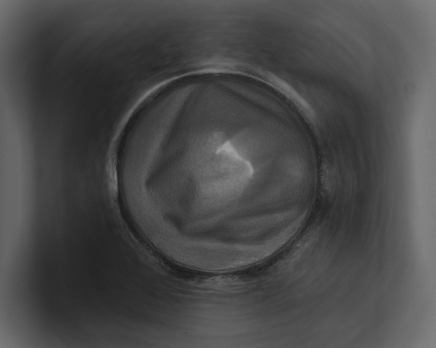 X0000100921368200807151213