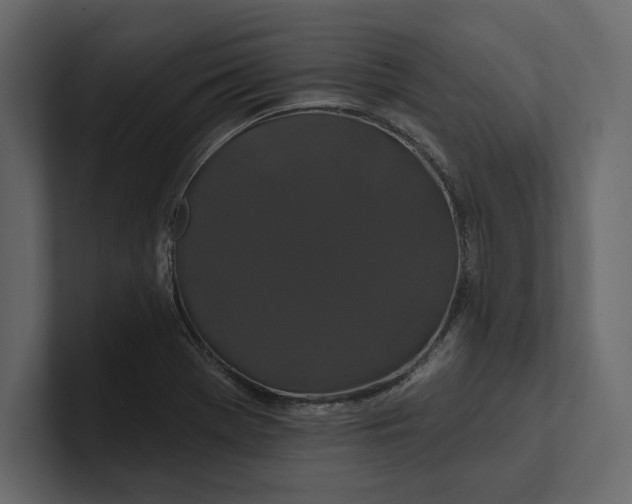 X0000100921369200807151213