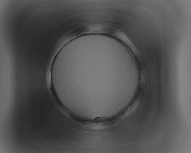 X0000100921370200807151213