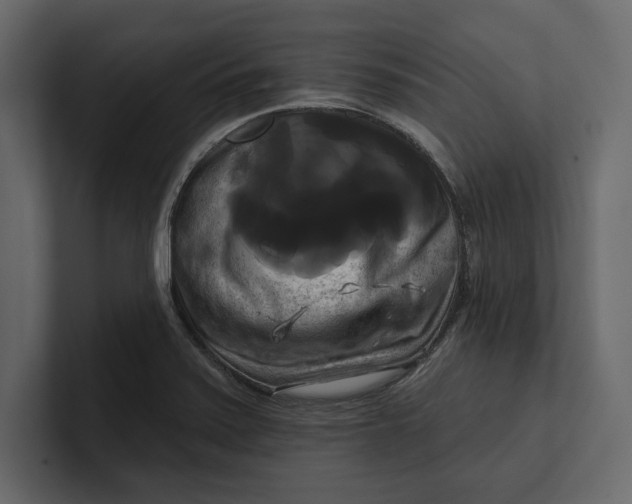 X0000100921371200807151213