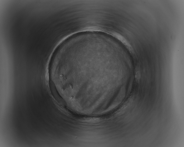 X0000100921372200807151213