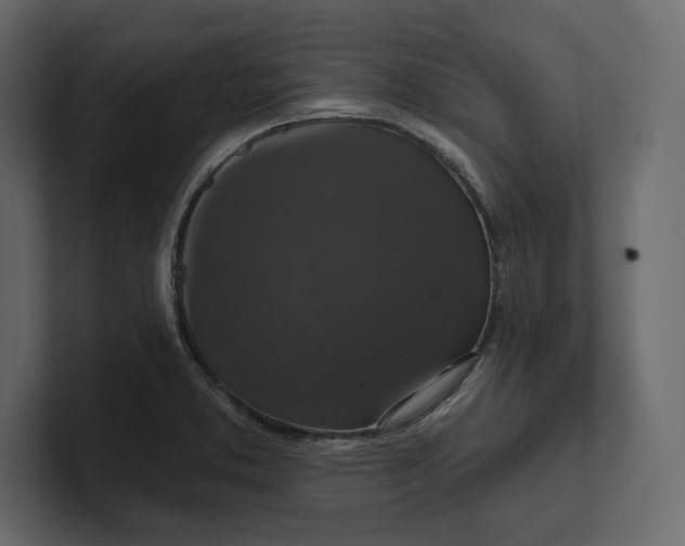 X0000100921373200807151212