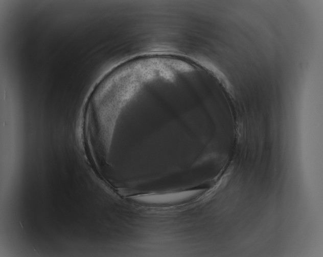 X0000100921374200807151212