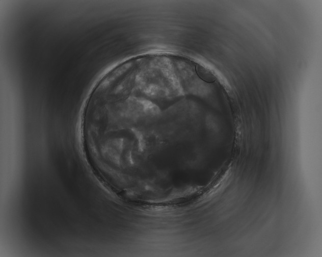 X0000100921375200807151212