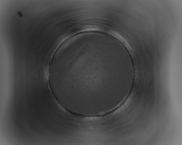 X0000100921377200807151212