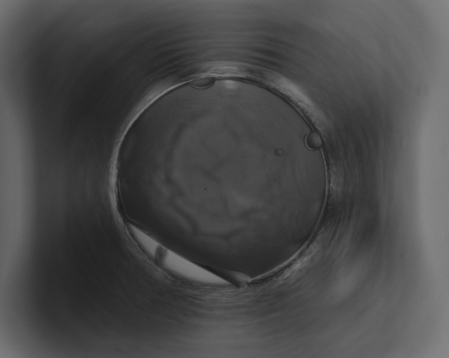 X0000100921378200807151212