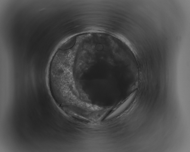 X0000100921379200807151212